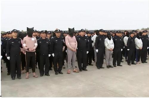 缅北内部人士爆料视频,内部人士爆料视频曝光惊人内幕